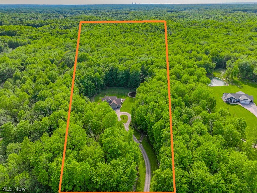 3991 North Myers Road Geneva, OH 44041 - Photo 3 of 43 Don't get lost in the woods!