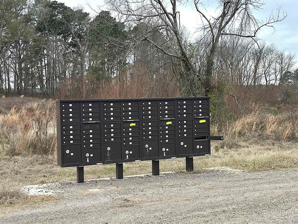 Lot 5 Pr 3398 Road Big Sandy, TX 75755 - Photo 2 of 5 Gallery Image 2