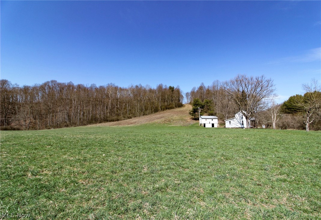 39353 Walnut Camp Road Sardis, OH 43946 - Photo 27 of 42 View of yard