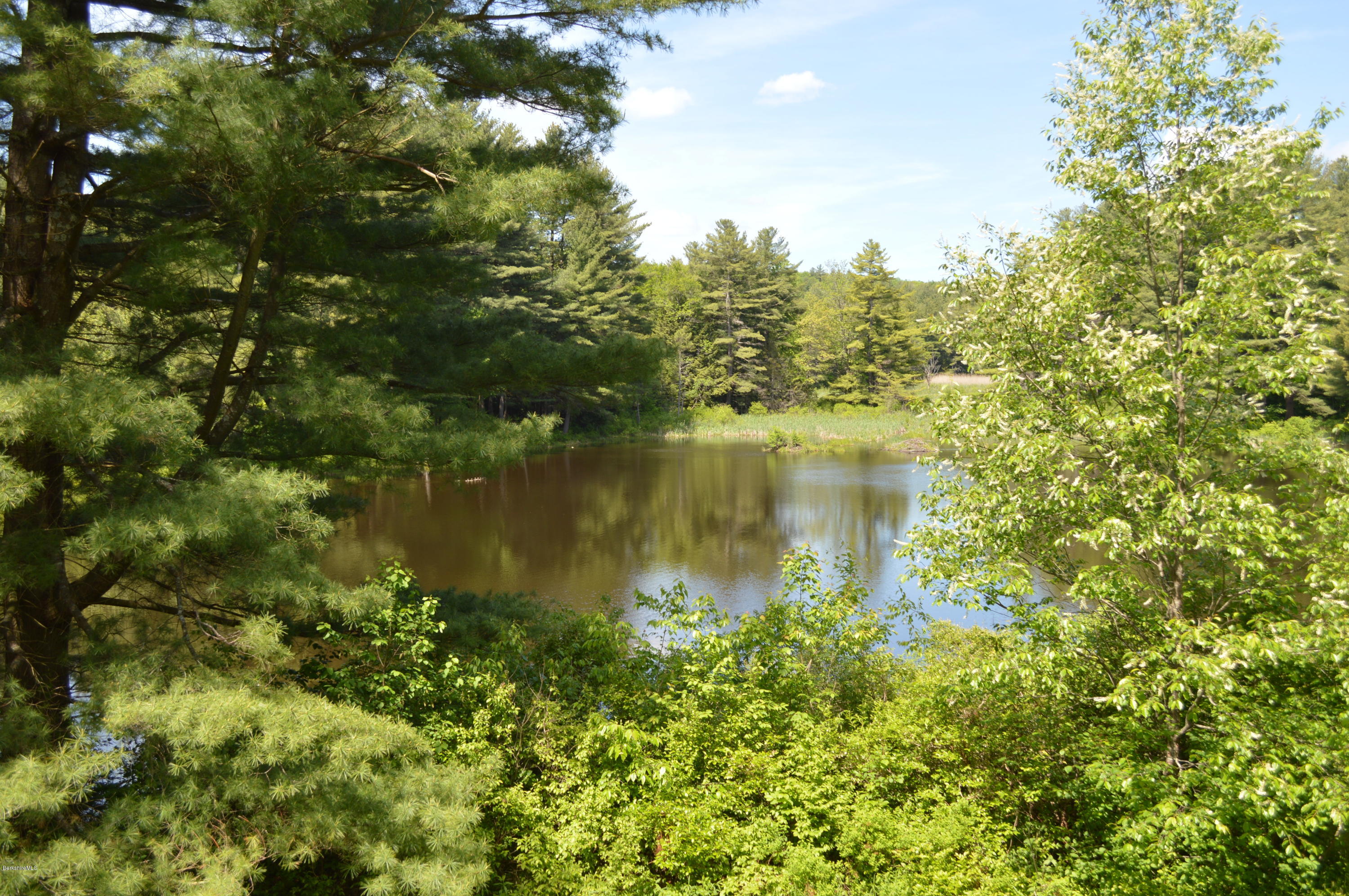 163 Carter Road Becket, MA 01223 - Photo 14 of 35 Pills Pond