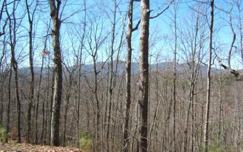 High Ridge Road Murphy, NC 28906 - Photo 1 of 1 a view of forest