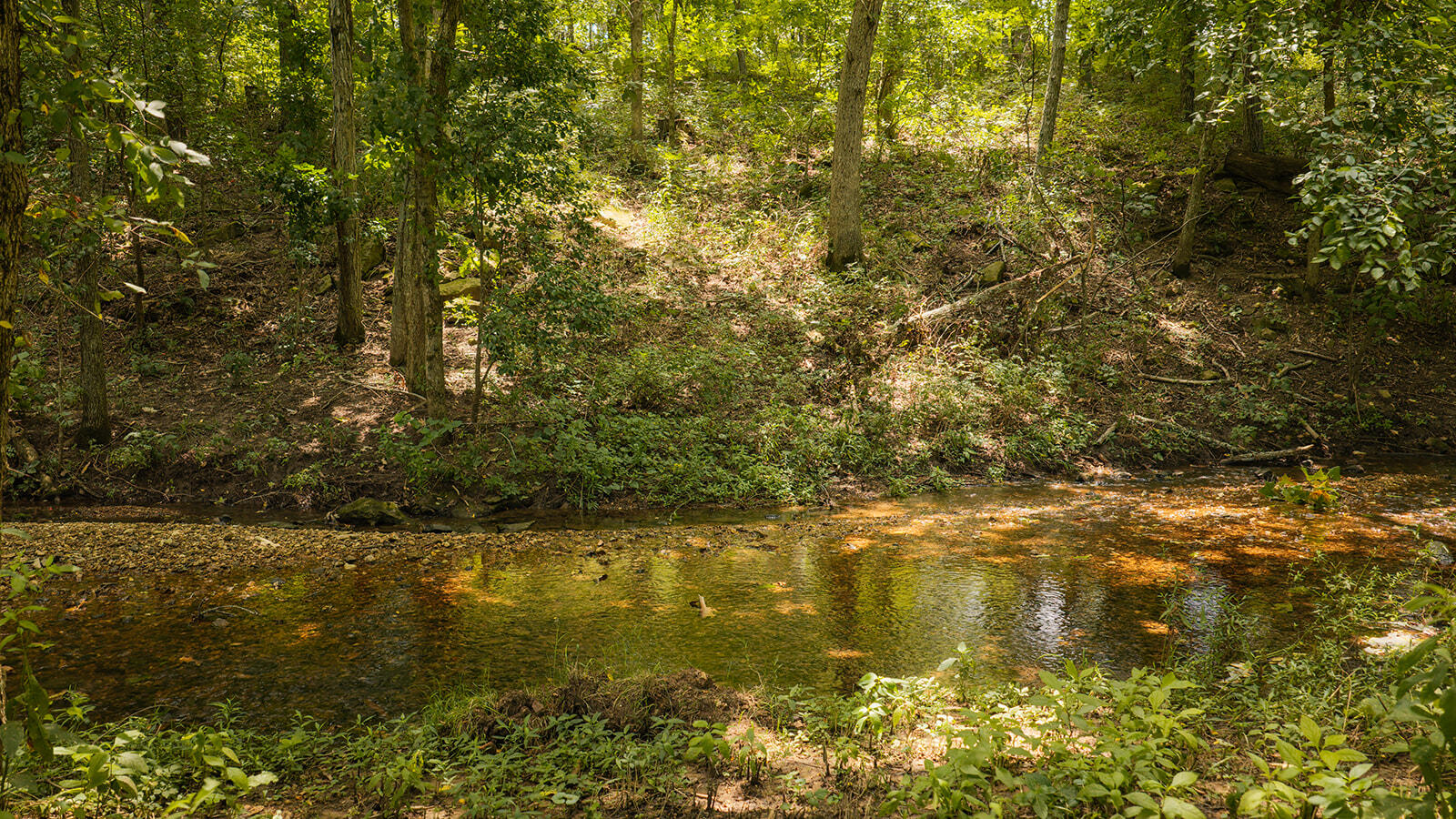 4164 South 77th Road Bolivar, MO 65613 - Photo 83 of 90 DJI_20260721131435_0220_D