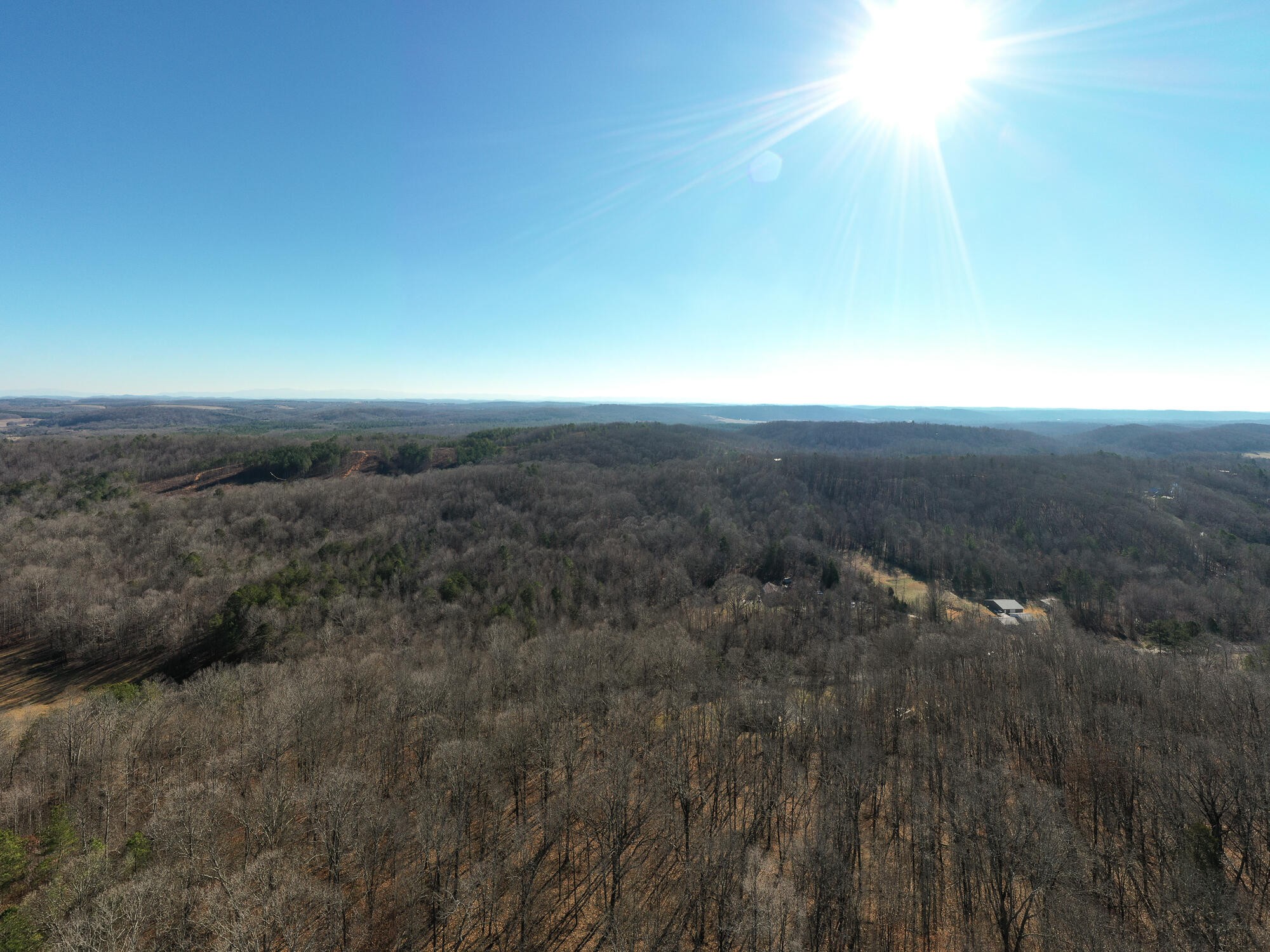 2164 Co Road Decatur, TN 37322 - Photo 36 of 53