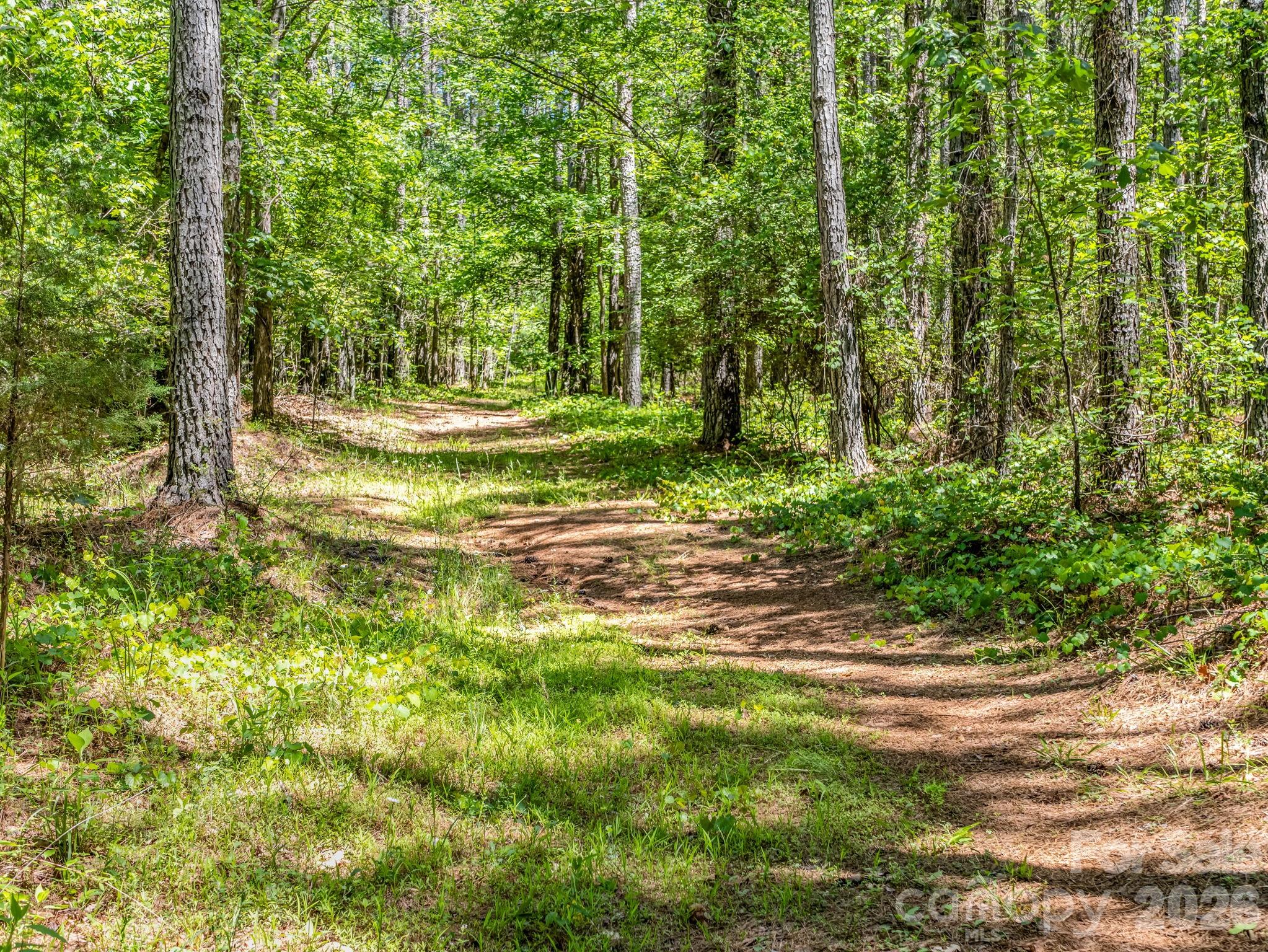 0 Jim Dobbins Road Rutherfordton, NC 28139 - Photo 26 of 39 a view of a yard with a tree