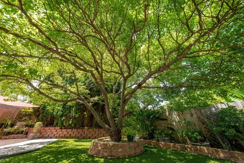 $949,000 | 11151 Socorro Street, San Diego, CA 92129