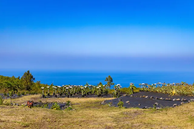 a view of ocean with boats