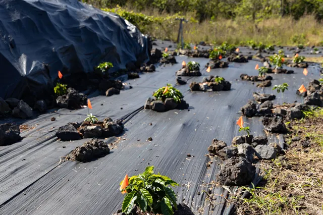 an aerial view of a city with lots of residential buildings
