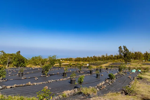 a view of a garden with sitting area
