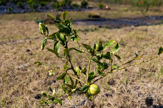 a view of outdoor space