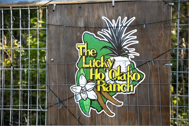 a sign that is on the wall