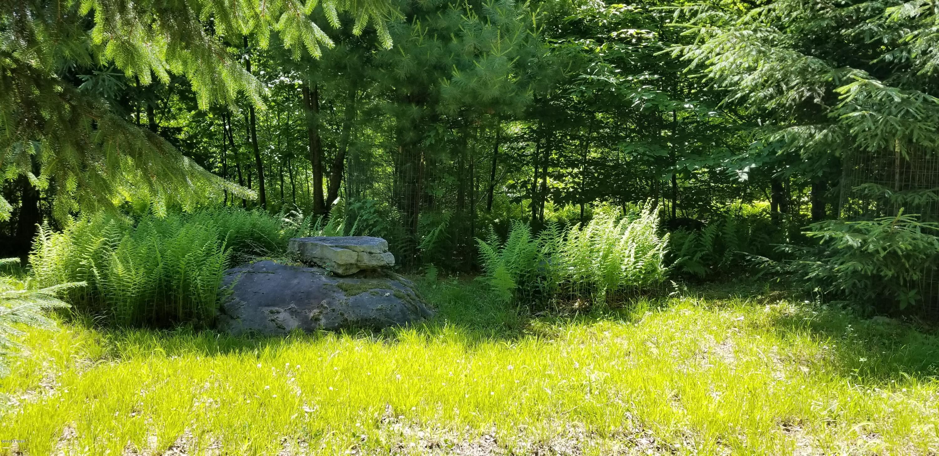 Lot 63 Old Woods Road Equinunk, PA 18417 - Photo 24 of 63