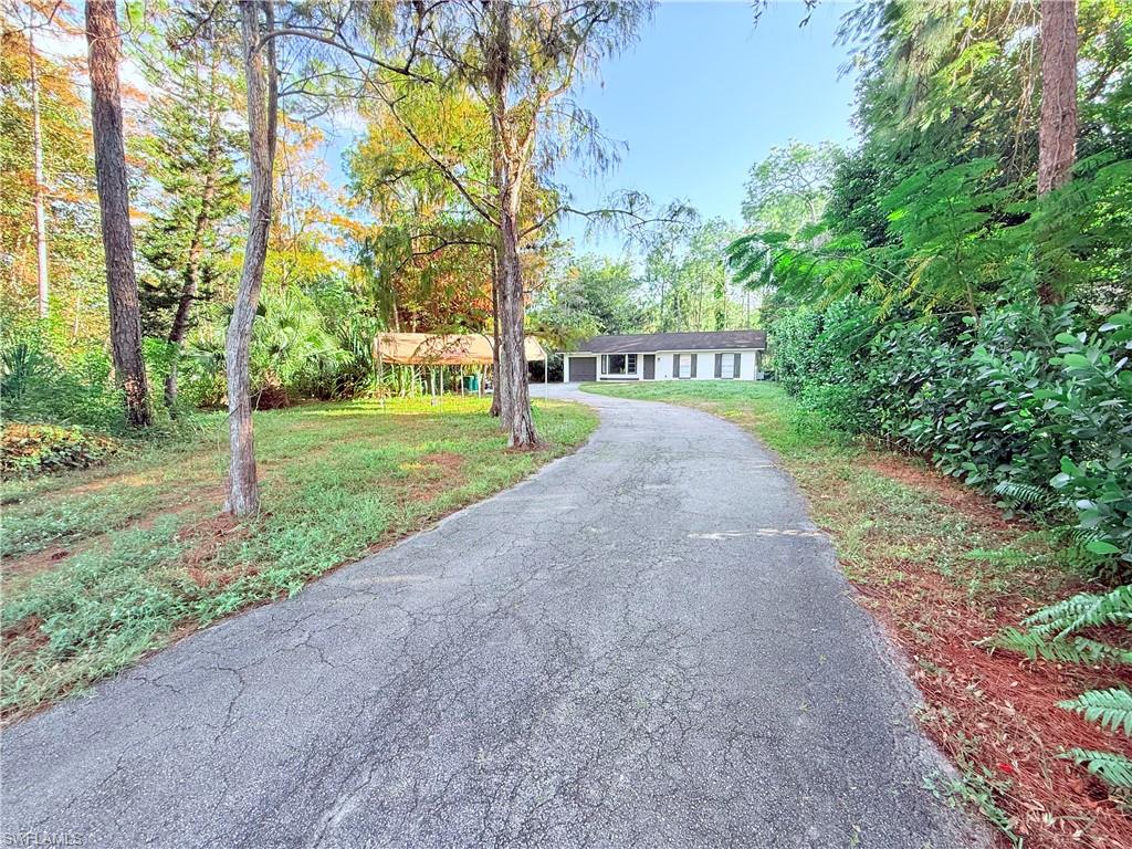 3330 13th Avenue Southwest Naples, FL 34117 - Photo 1 of 50 a view of road with large trees
