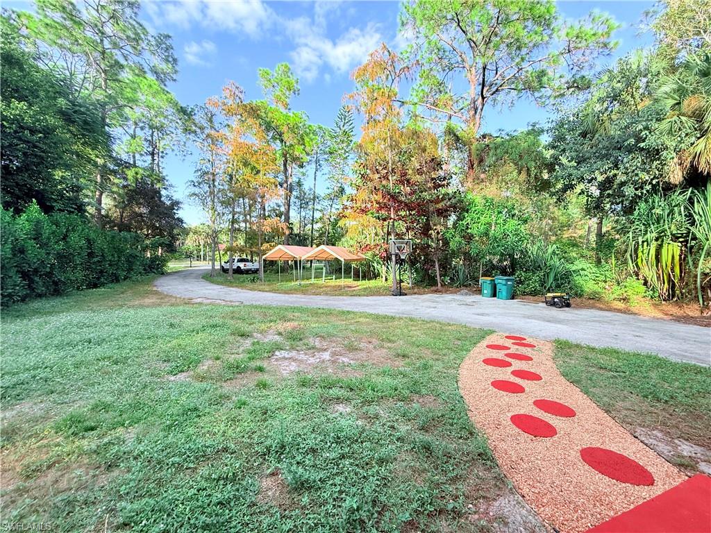 3330 13th Avenue Southwest Naples, FL 34117 - Photo 4 of 50 a view of outdoor space yard and patio