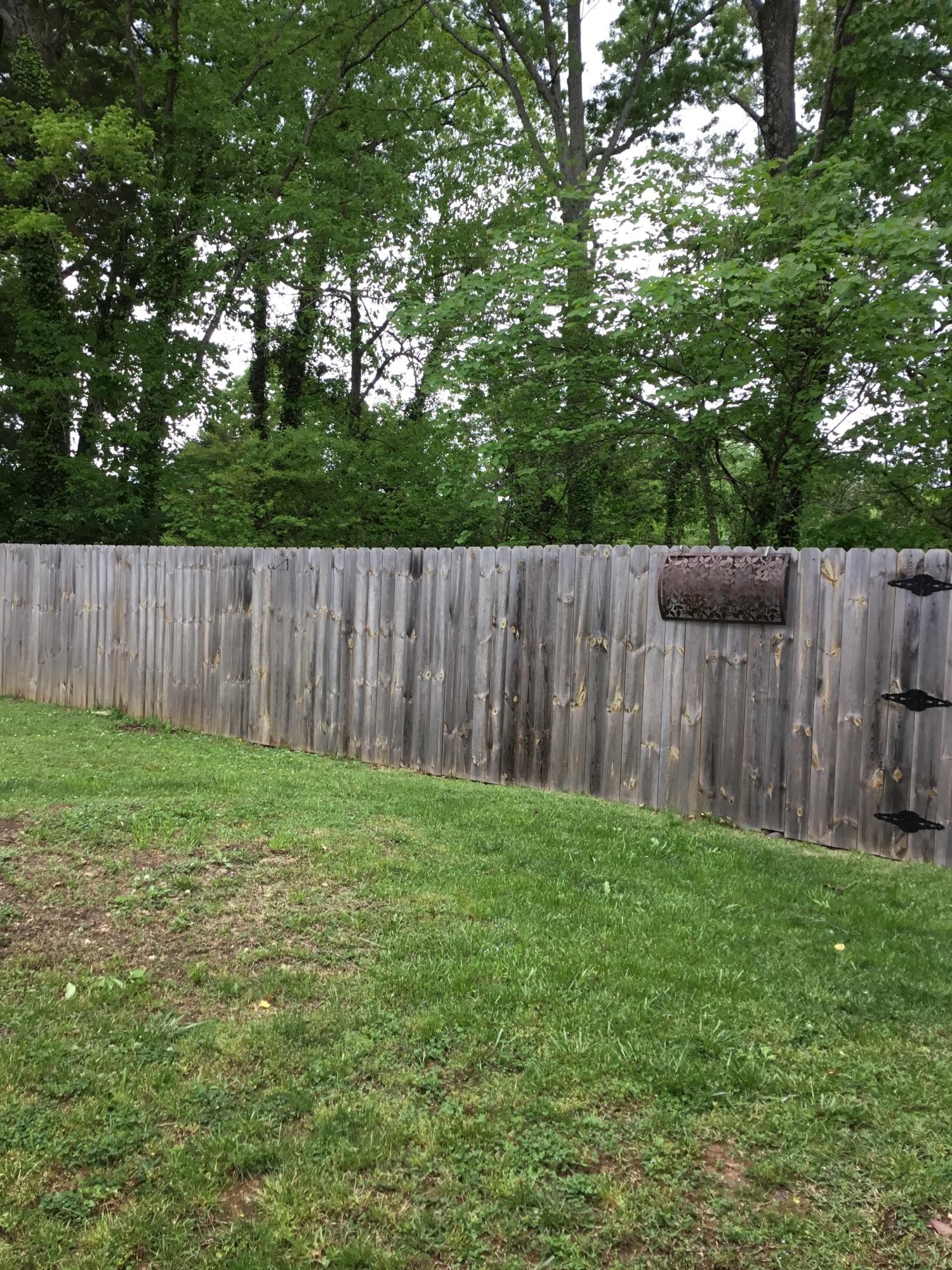 121 East Arrowwood Road Oak Ridge, TN 37830 - Photo 25 of 26 a view of backyard with tree