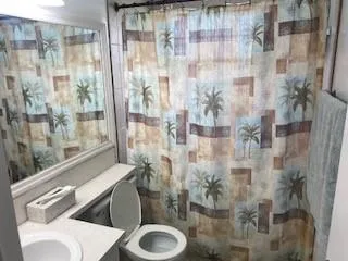 a bathroom with a shower and toilet