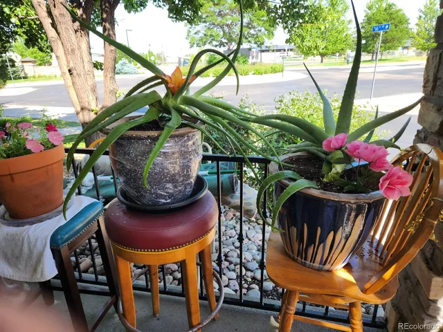 a view of table and chairs under an umbrella