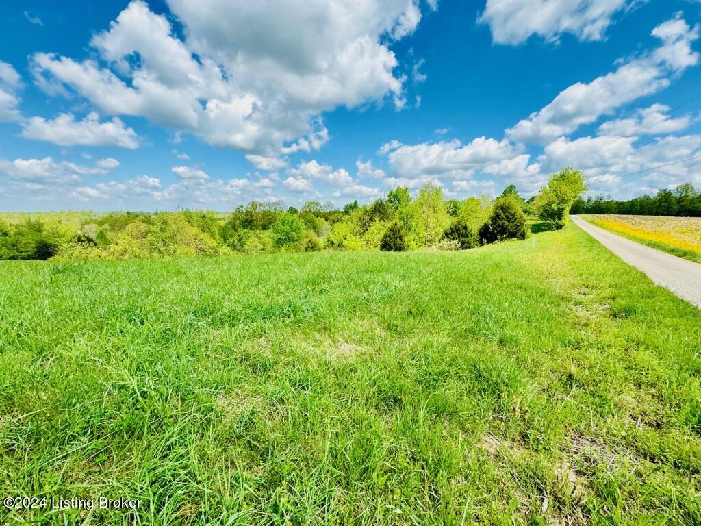 901 Haydon Bros Road Springfield, KY 40069 - Photo 3 of 14 IMG_8288