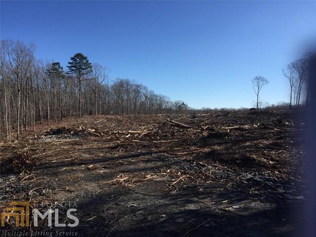 0 Cedar Creek Road Newnan, GA 30263 - Photo 1 of 1