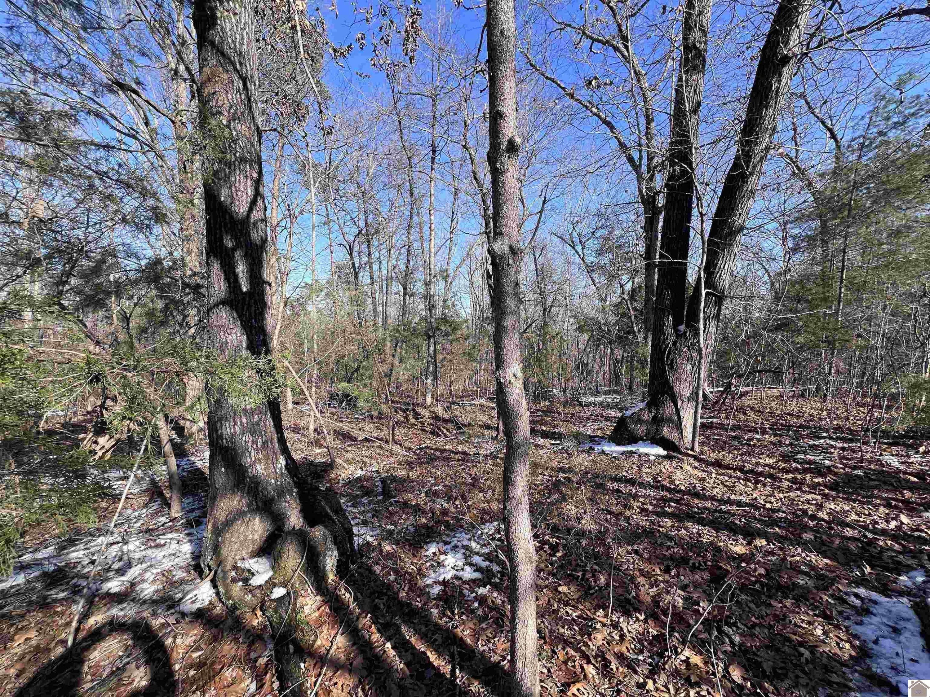 0 H H Haile Road Dawson Springs, KY 42408 - Photo 8 of 8 Photo 8