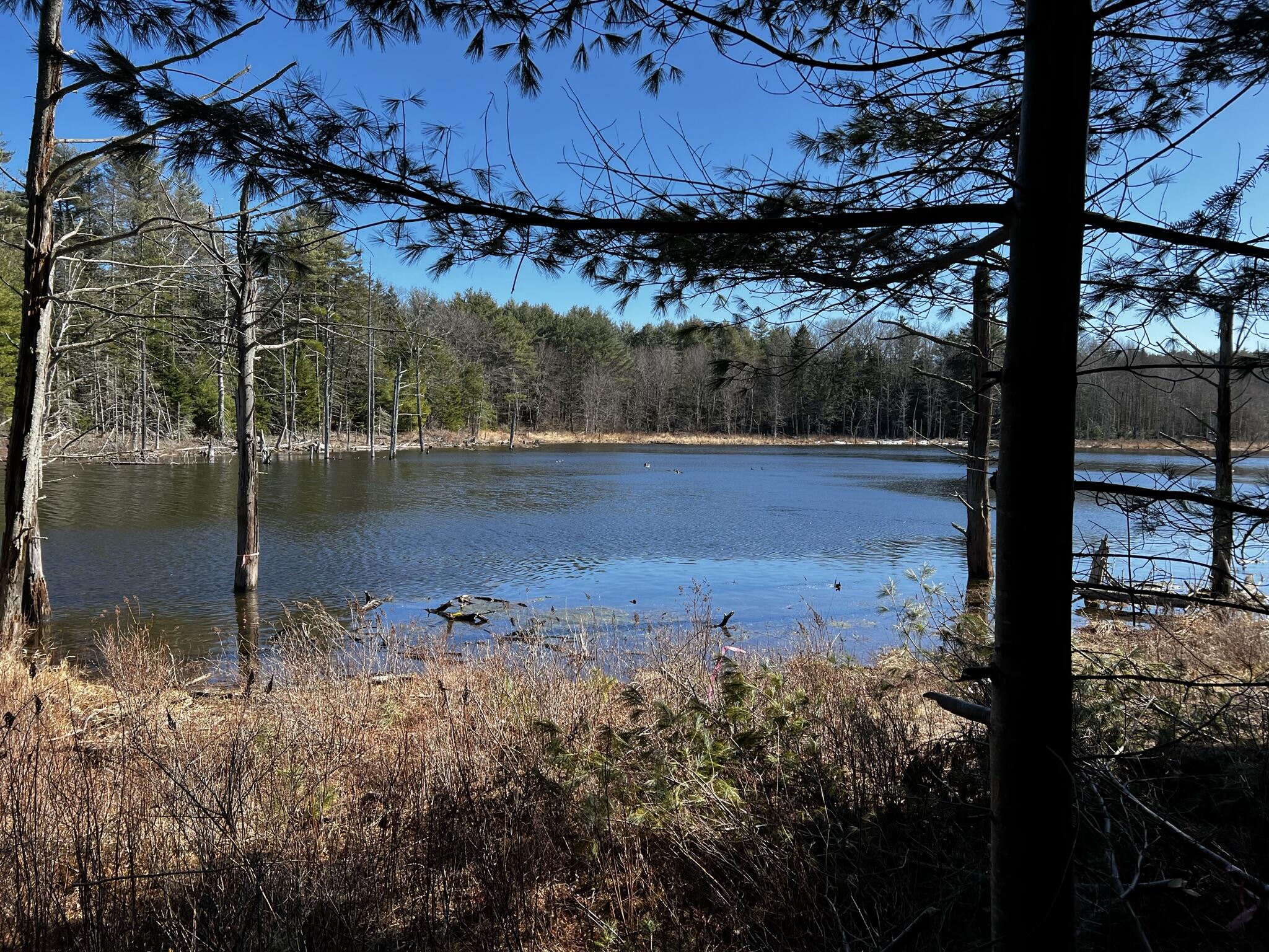 Lot 105 Murphy Road Boothbay, ME 04537 - Photo 1 of 5 1.