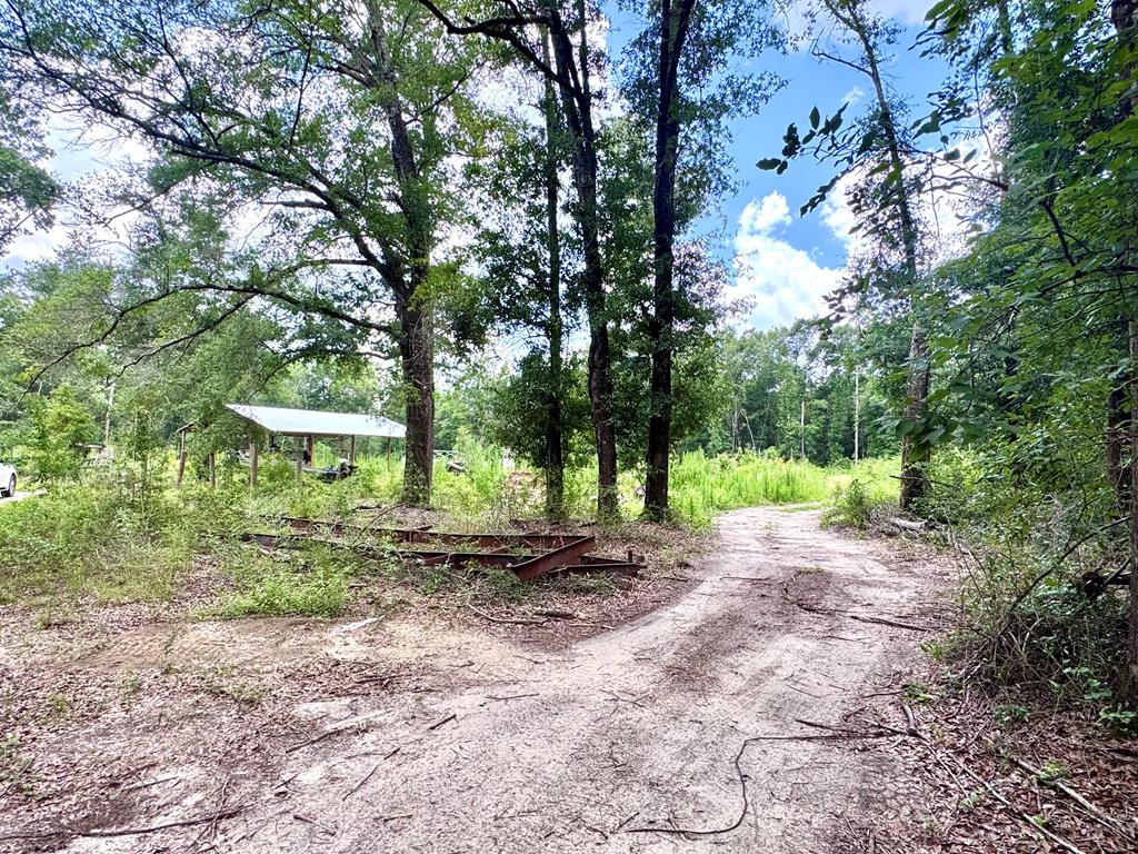 350 Forest Hill Cemetary Road Geneva, AL 36340 - Photo 8 of 8