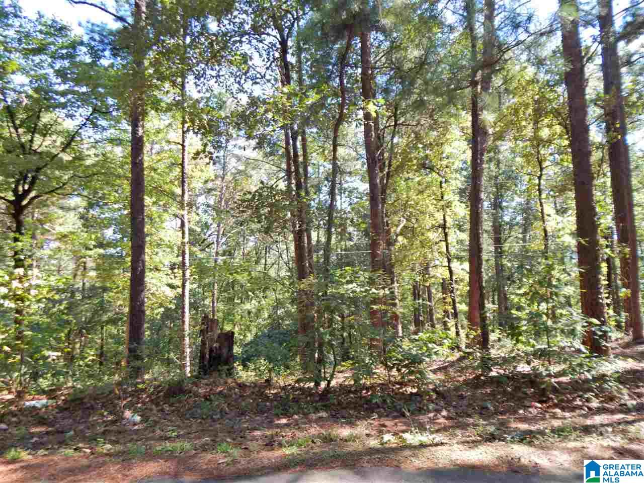 479 Beasley Road, Unit 6B Gardendale, AL 35071 - Photo 4 of 4