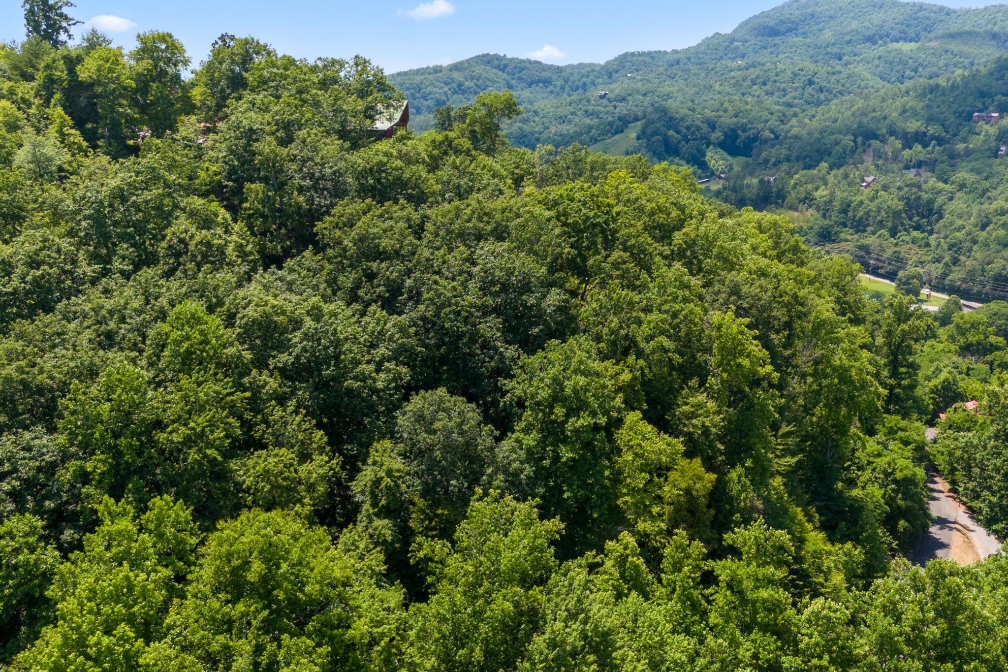 23 Red Wolfe Road Sevierville, TN 37862 - Photo 6 of 11 Gallery Image 6