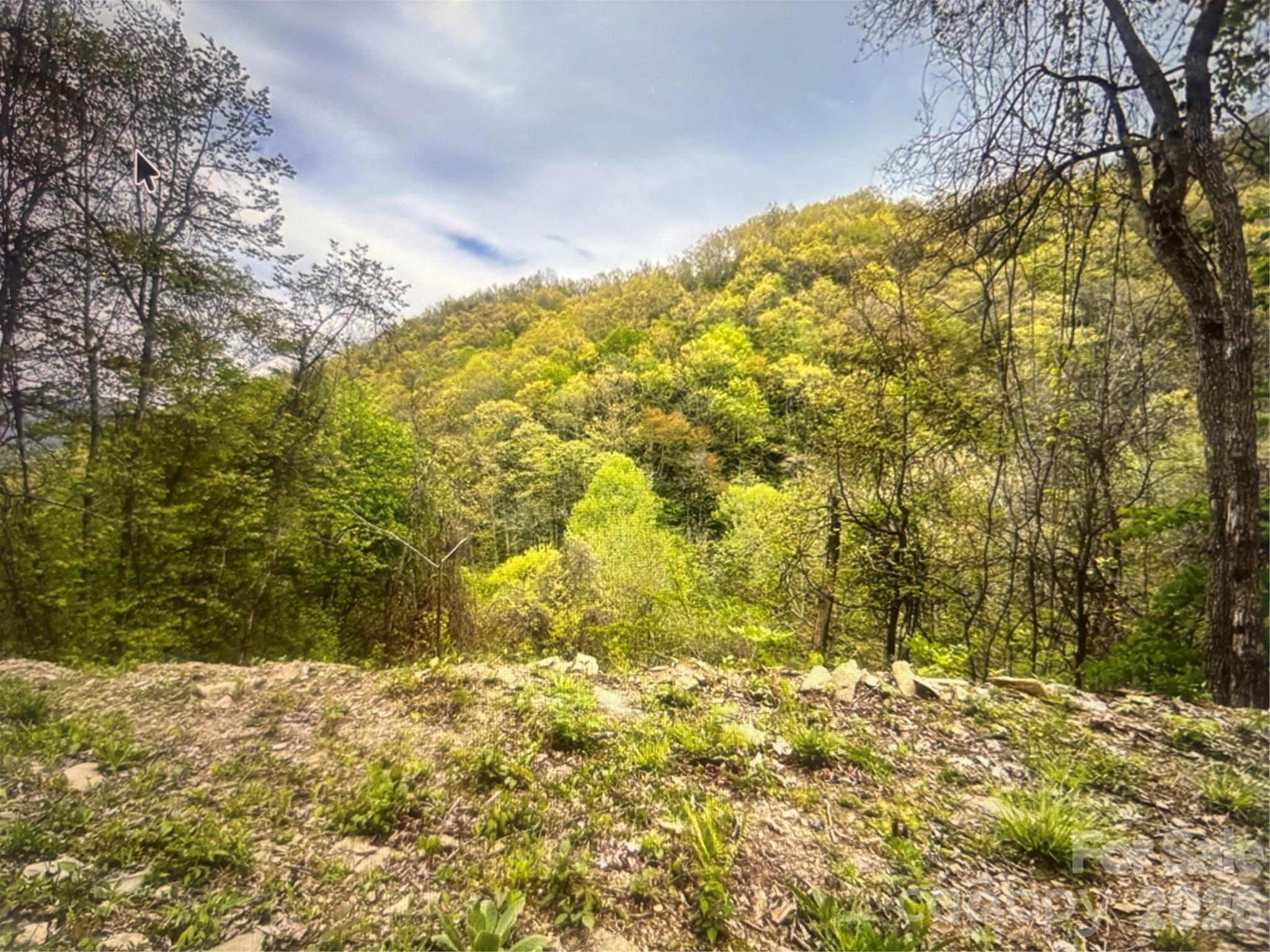 0 Huckleberry Walk, Unit 61 Bryson City, NC 28713 - Photo 4 of 10