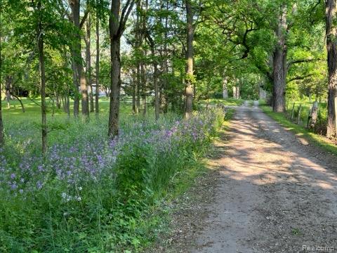 61995 Mt Vernon Road Washington, MI 48094 - Photo 36 of 41 Gallery Image 36