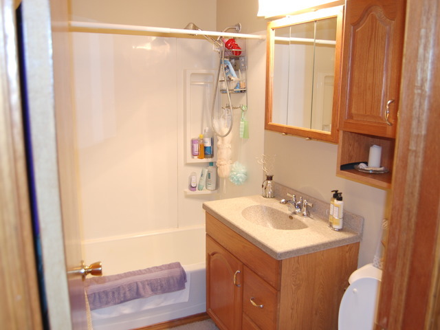 686 Walnut Road Wauconda, IL 60084 - Photo 12 of 21 a bathroom with a sink and a mirror