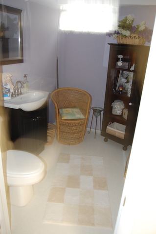 686 Walnut Road Wauconda, IL 60084 - Photo 15 of 21 a bathroom with a sink and a mirror