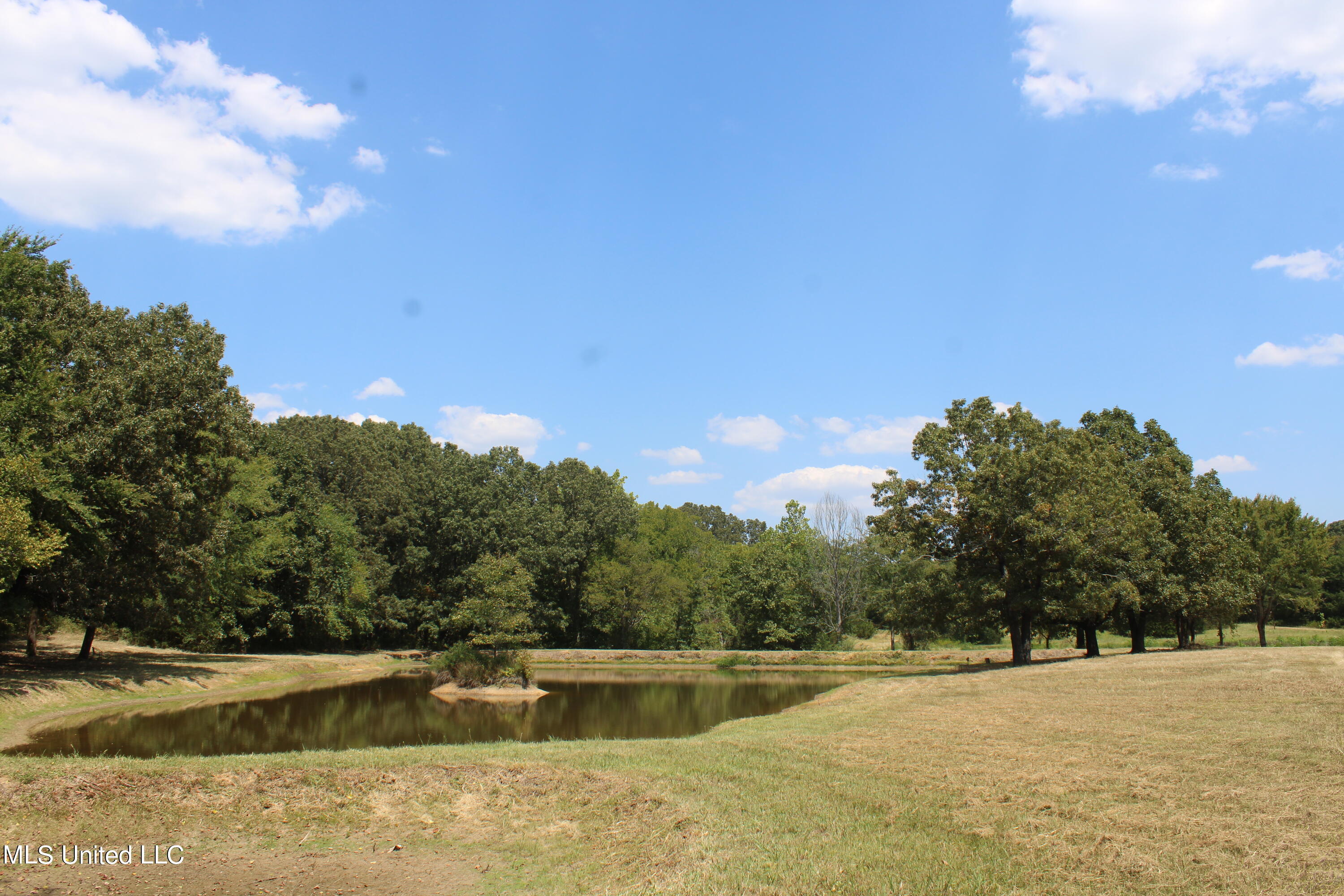 3340 Hernando Road Holly Springs, MS 38635 - Photo 32 of 54 IMG_4494