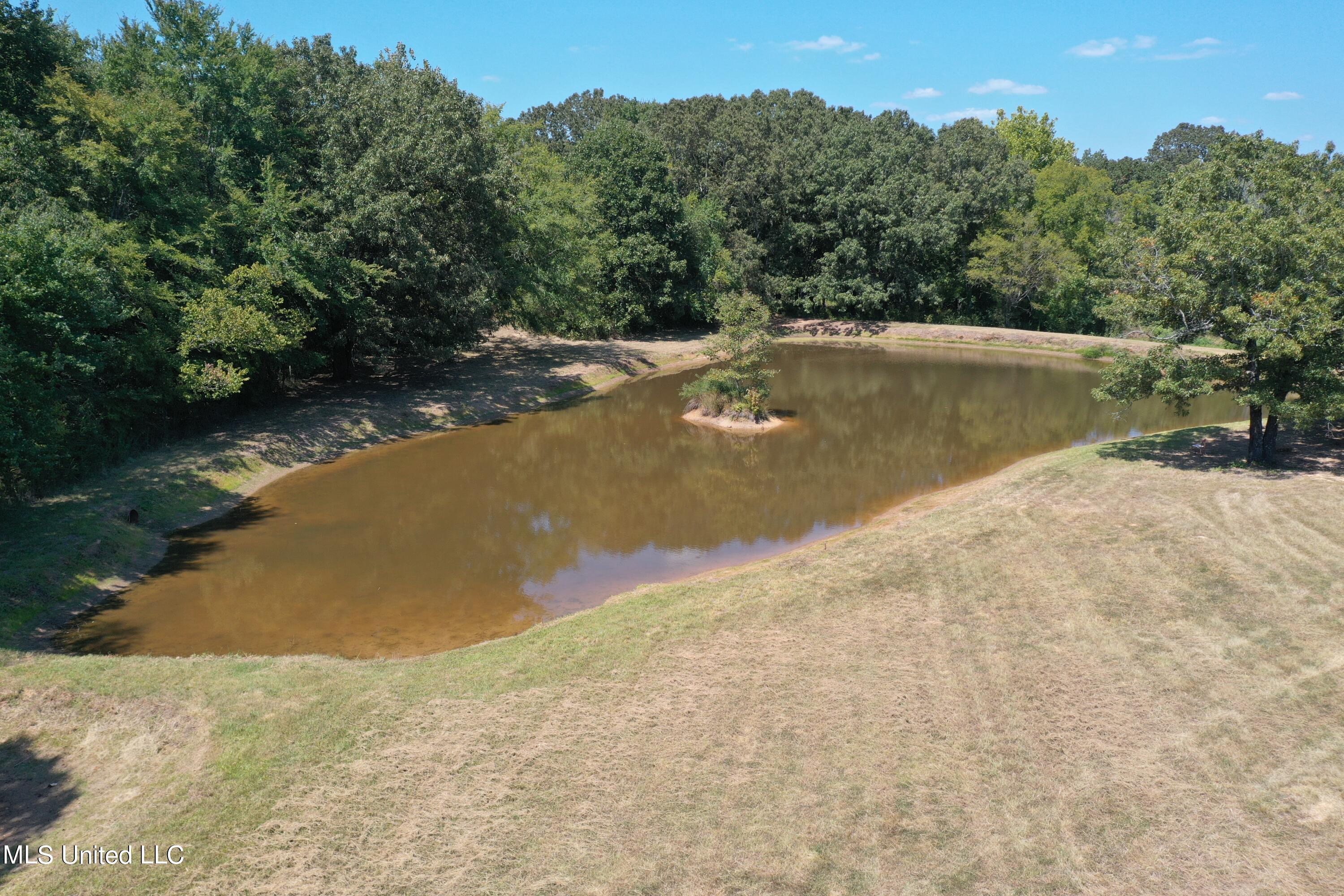 3340 Hernando Road Holly Springs, MS 38635 - Photo 10 of 54 DJI_0440