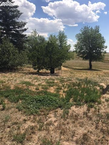 7565 Maverick Road Colorado Springs, CO 80908 - Photo 20 of 21