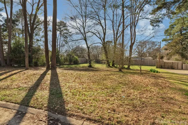 a view of backyard with tree