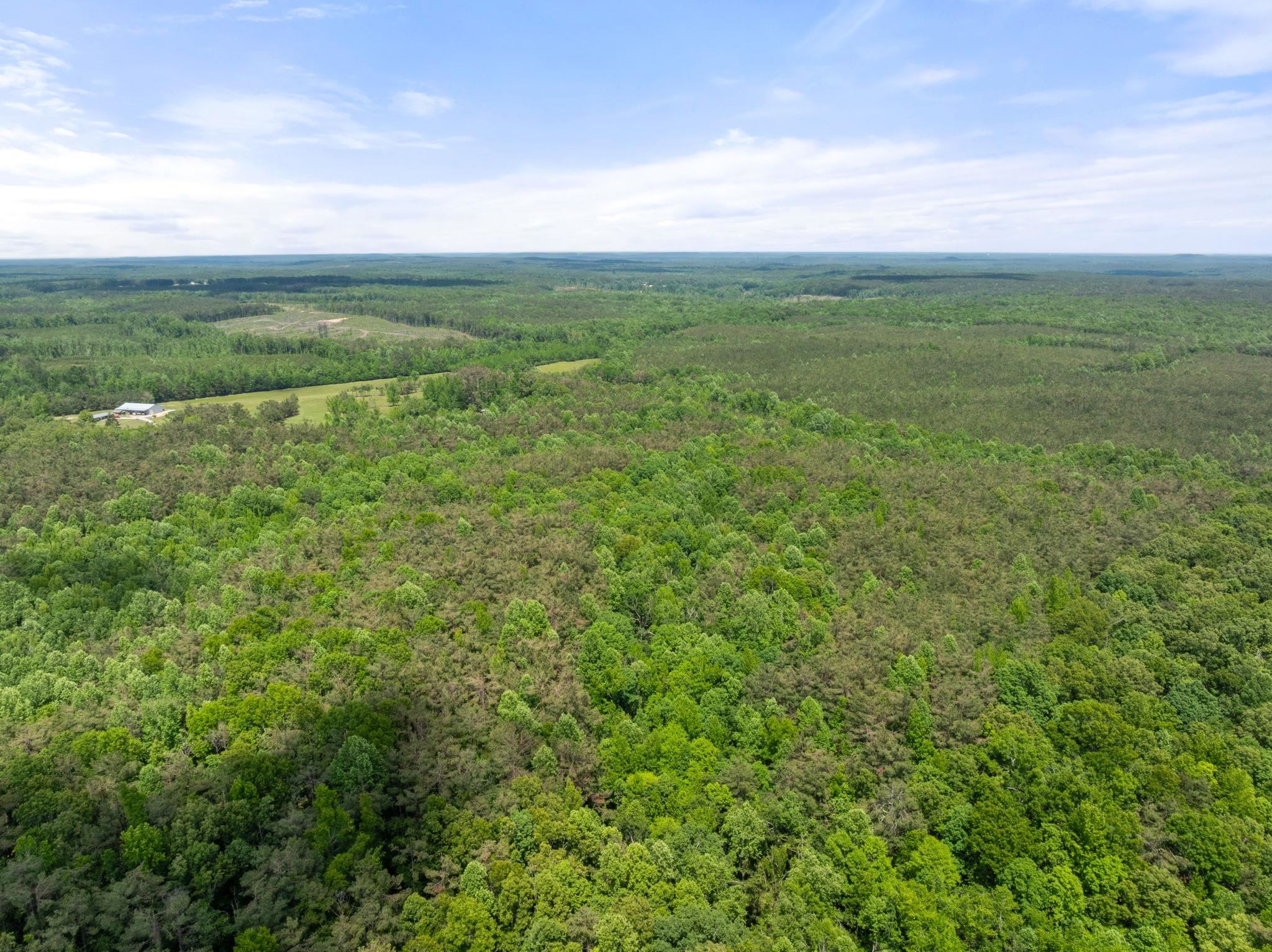 377 County Road 377 Road Burnsville, MS 38833 - Photo 12 of 20 a view of an ocean and beach
