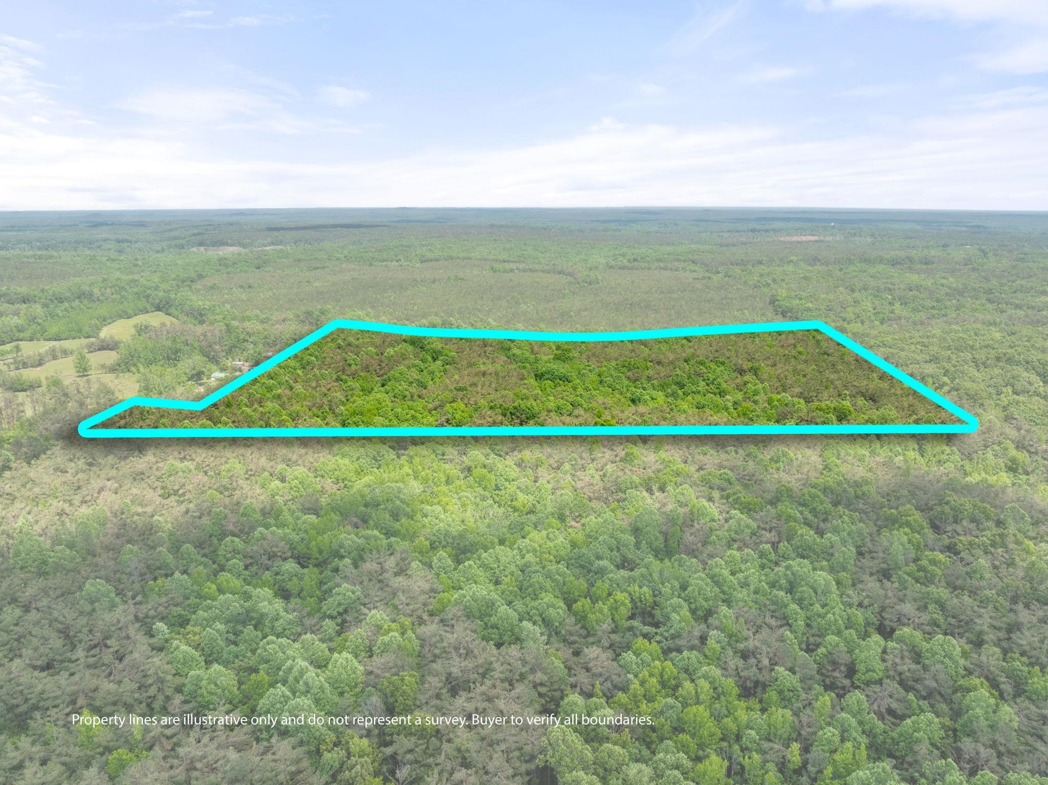 377 County Road 377 Road Burnsville, MS 38833 - Photo 13 of 20 a view of an ocean and beach