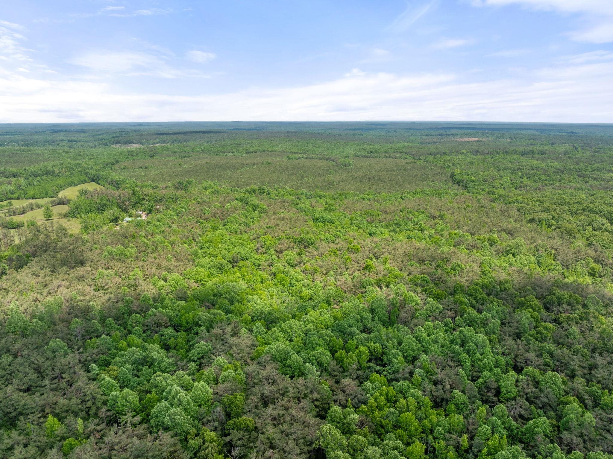 377 County Road 377 Road Burnsville, MS 38833 - Photo 14 of 20 a view of an ocean and beach