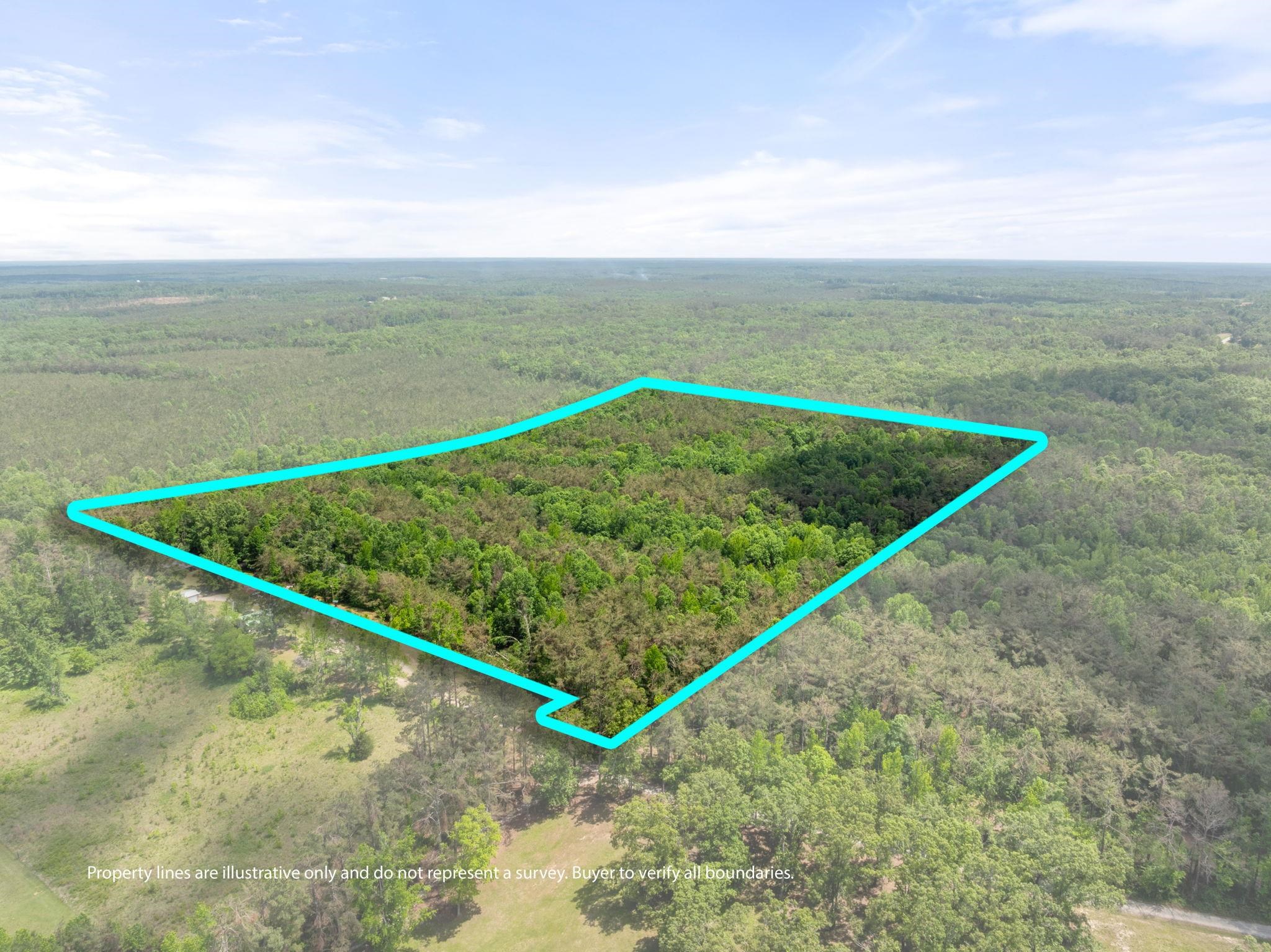 377 County Road 377 Road Burnsville, MS 38833 - Photo 15 of 20 a view of a tennis court