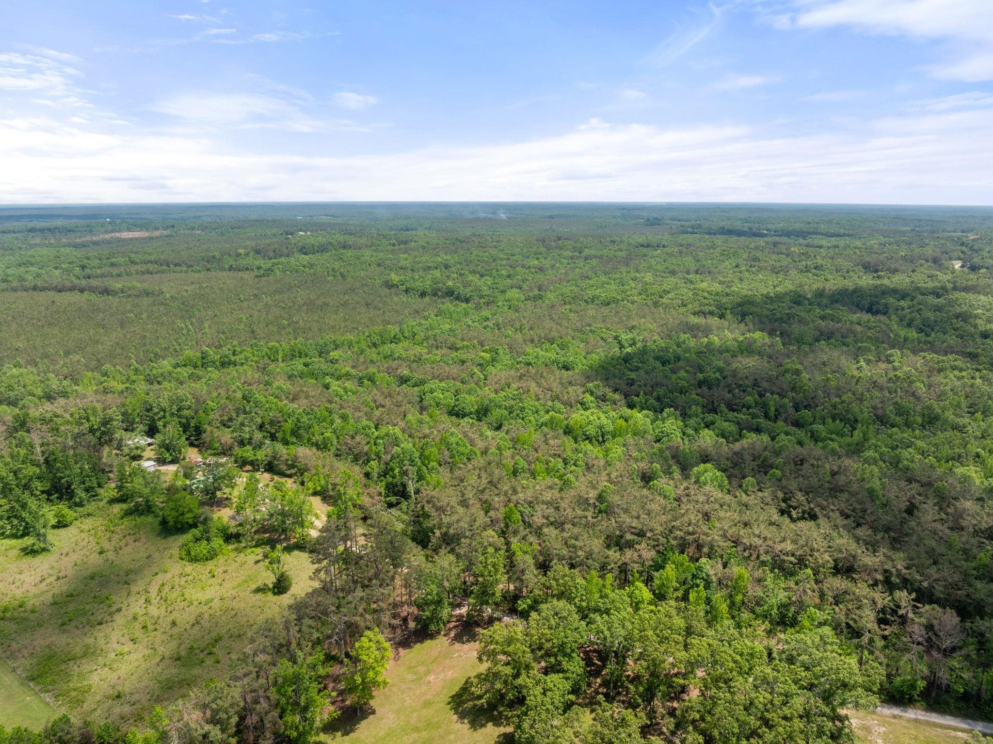 377 County Road 377 Road Burnsville, MS 38833 - Photo 16 of 20 a view of yard with green space