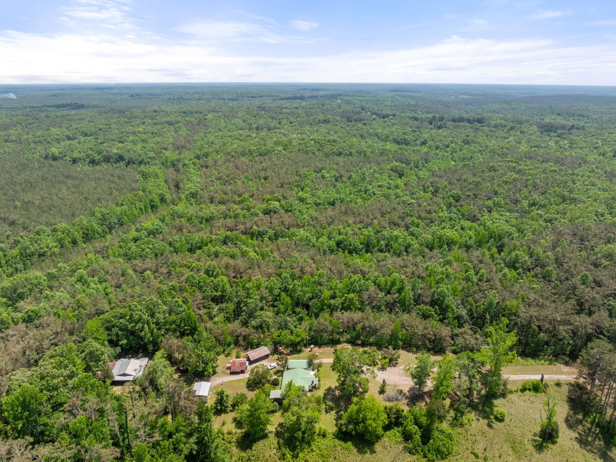 377 County Road 377 Road Burnsville, MS 38833 - Photo 2 of 20 a view of a field with an trees