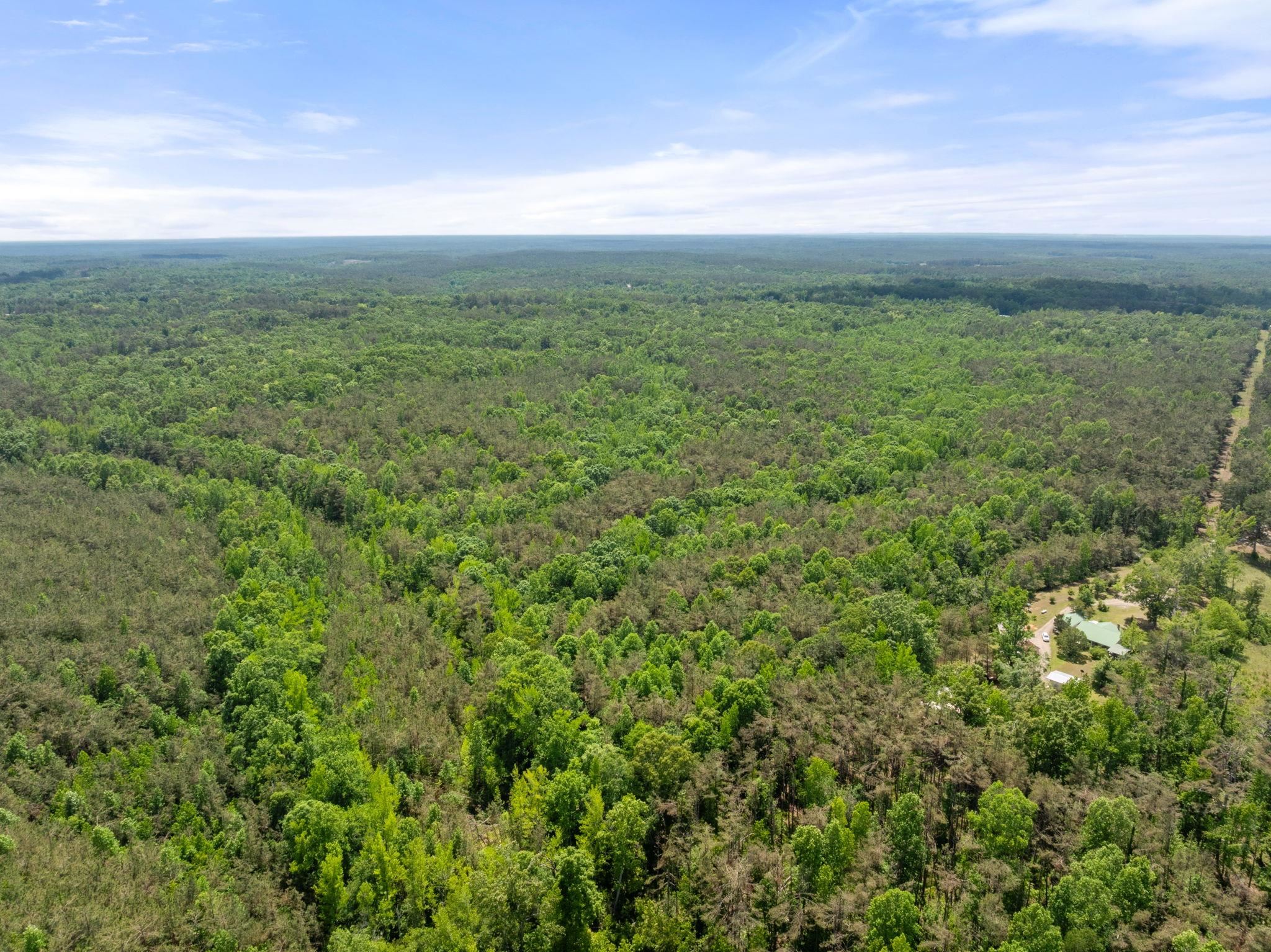 377 County Road 377 Road Burnsville, MS 38833 - Photo 4 of 20 a view of a field with an outdoor space