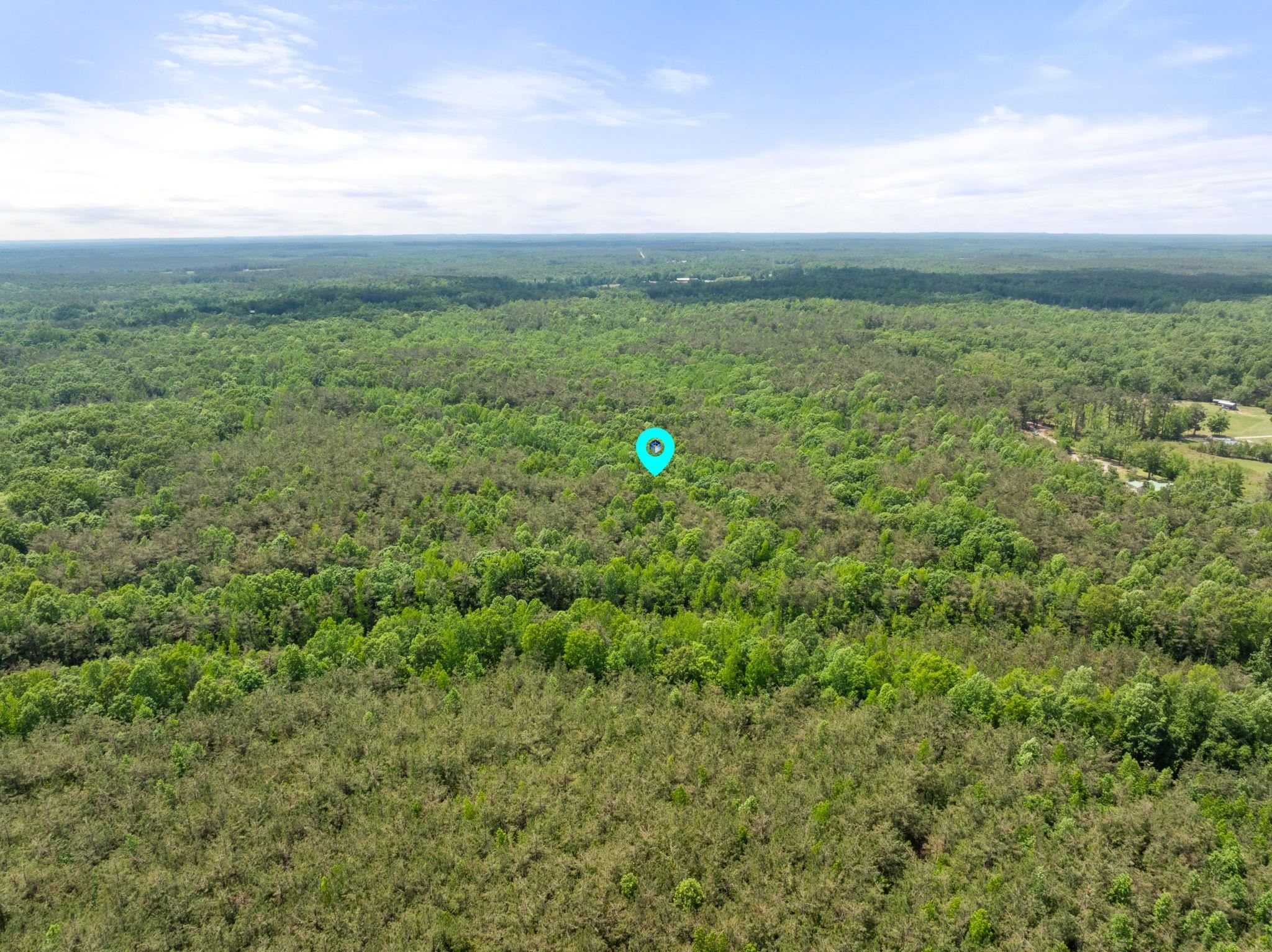 377 County Road 377 Road Burnsville, MS 38833 - Photo 5 of 20 a view of outdoor space and ocean view