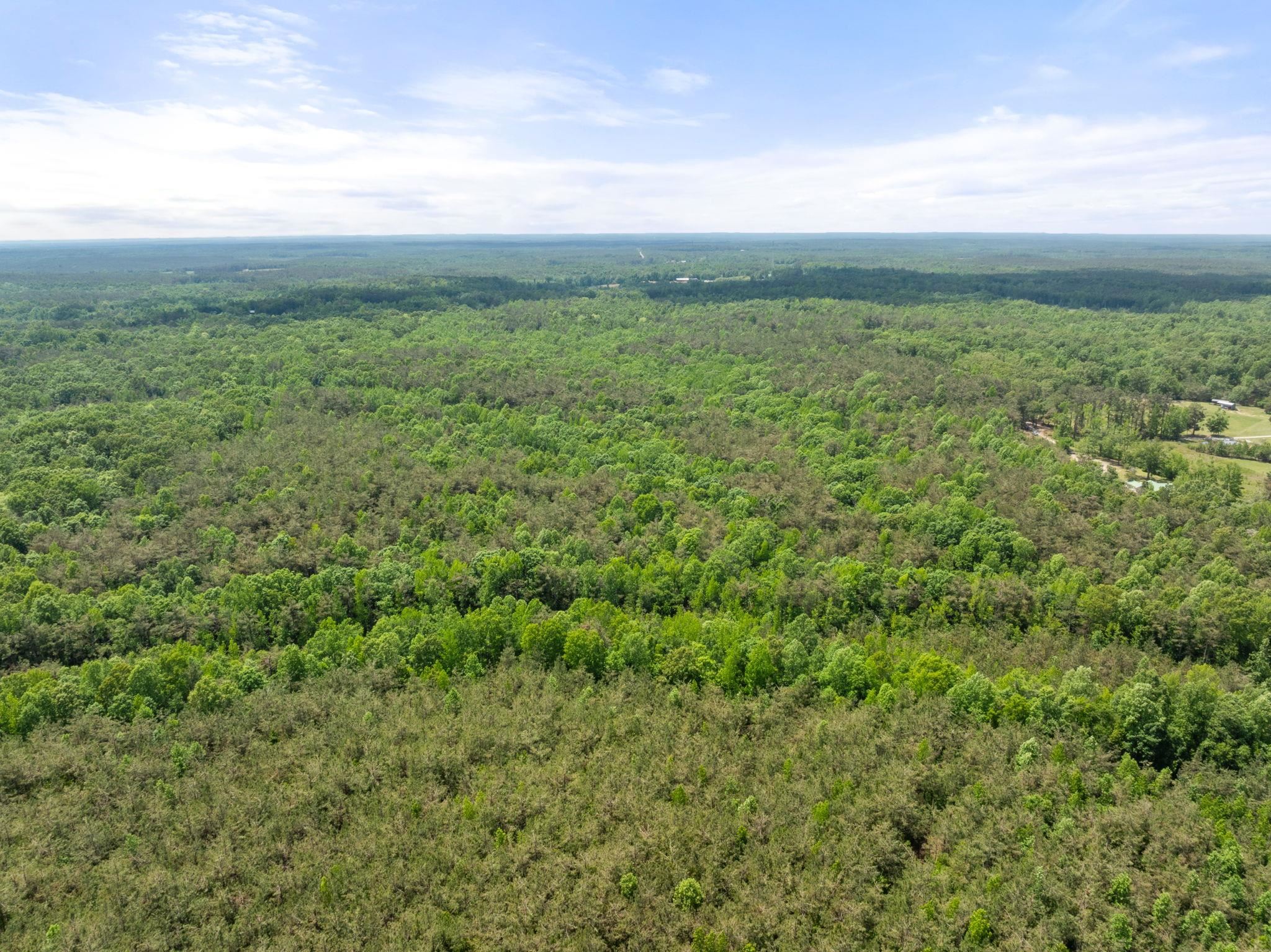 377 County Road 377 Road Burnsville, MS 38833 - Photo 6 of 20