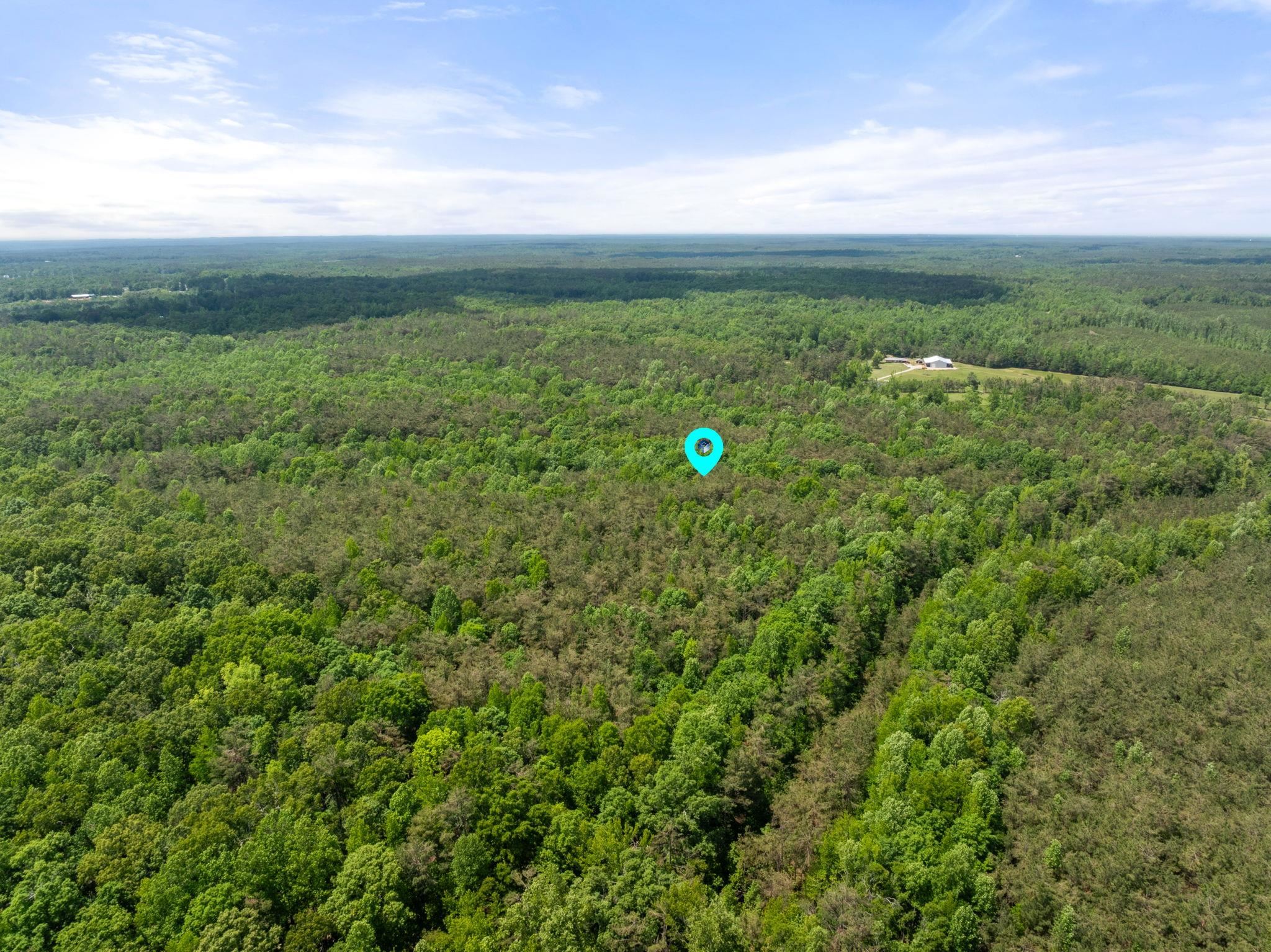 377 County Road 377 Road Burnsville, MS 38833 - Photo 7 of 20 a view of a lake with a big yard