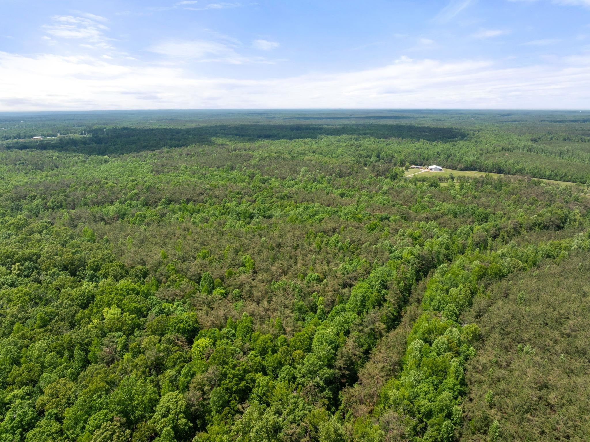 377 County Road 377 Road Burnsville, MS 38833 - Photo 8 of 20 a view of yard with ocean view