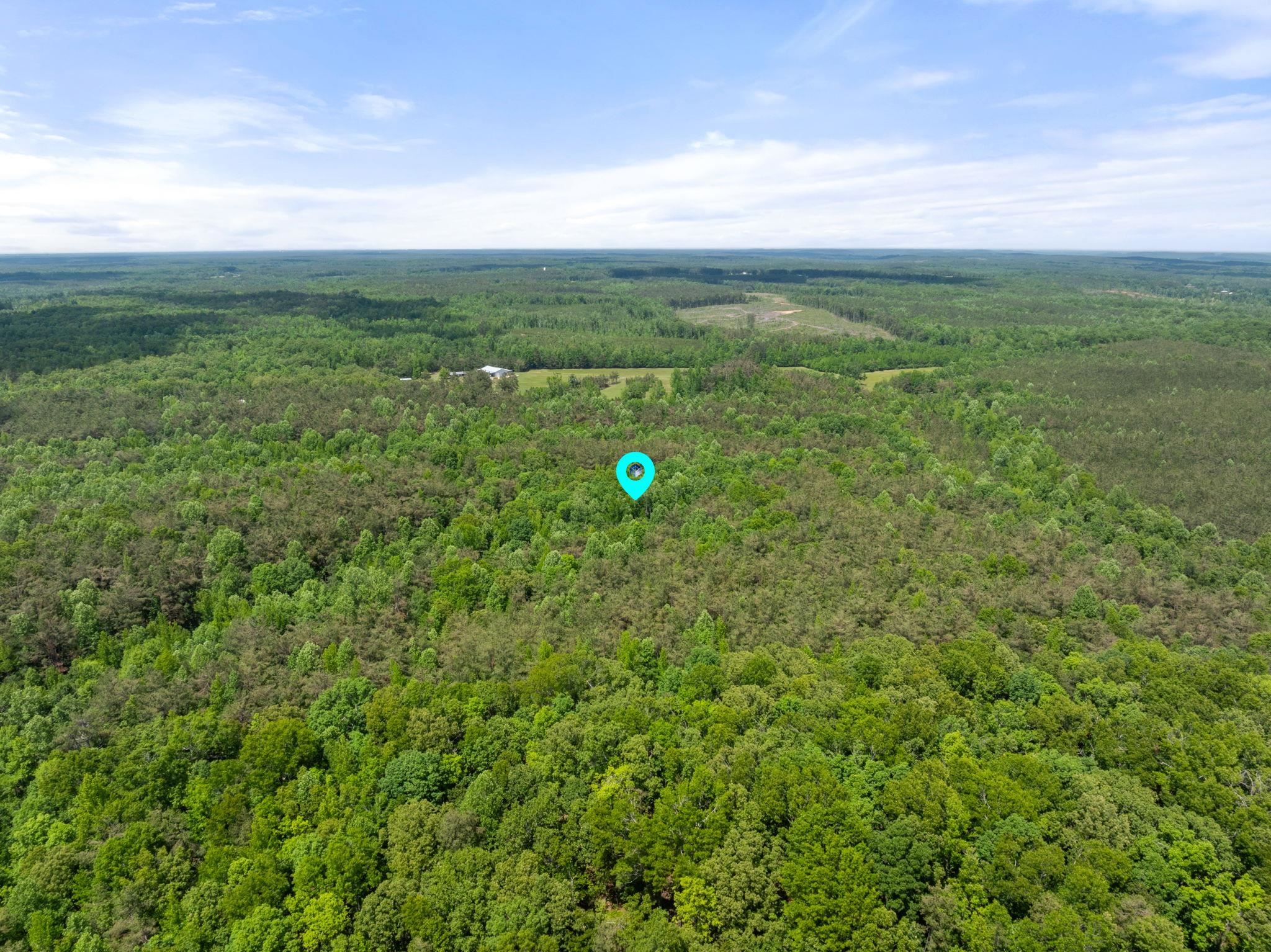 377 County Road 377 Road Burnsville, MS 38833 - Photo 9 of 20 a view of a green field with lots of bushes