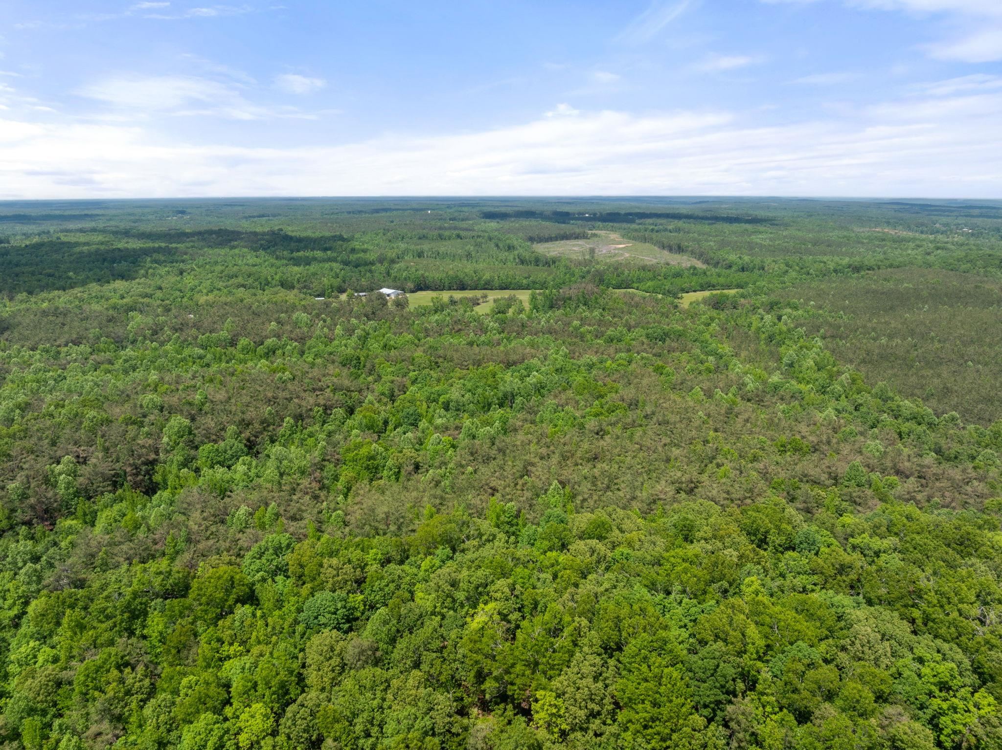 377 County Road 377 Road Burnsville, MS 38833 - Photo 10 of 20 a view of a field with an ocean