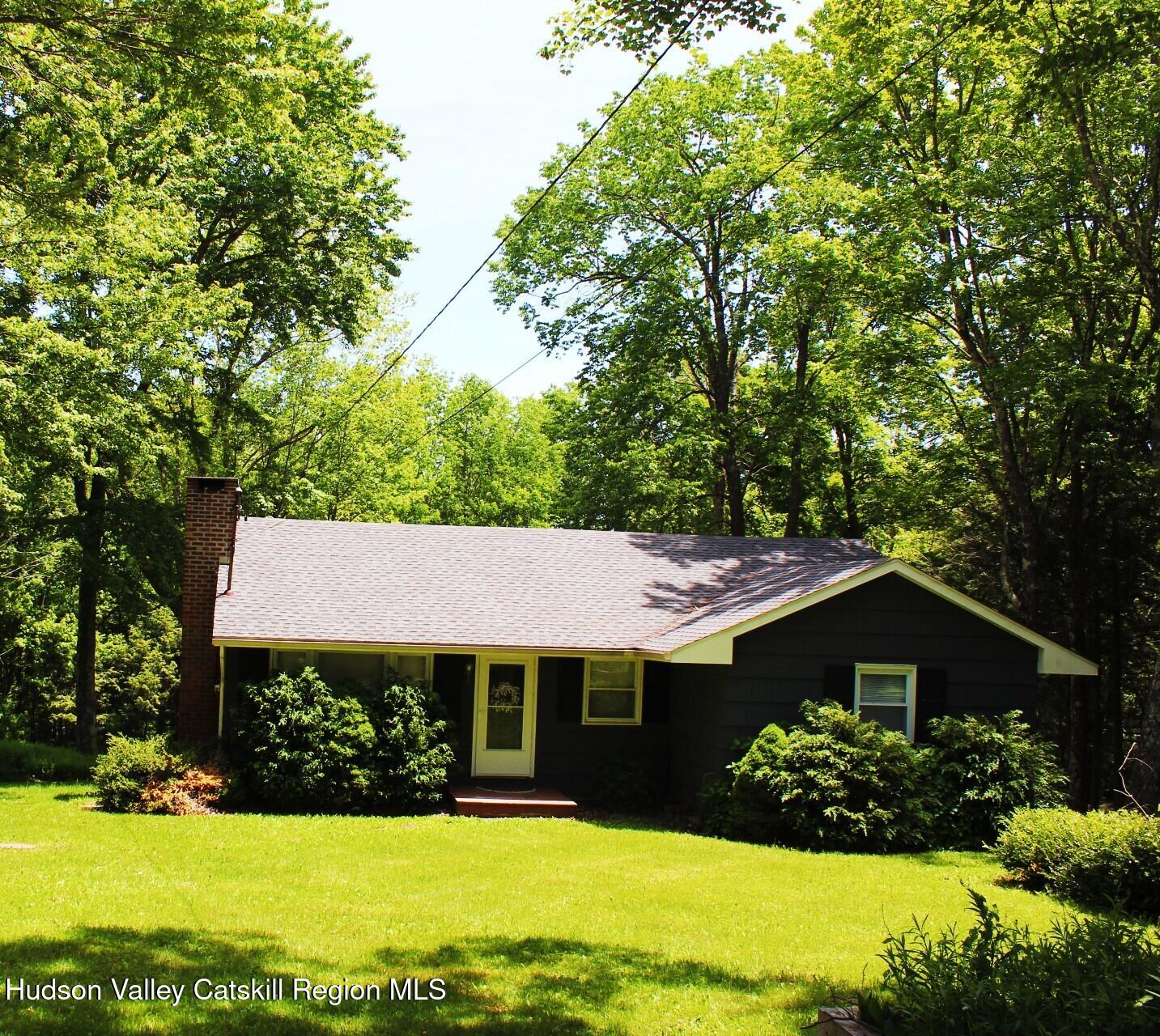 116 Reme Road Prattsville, NY 12468 - Photo 1 of 19 1 angulo