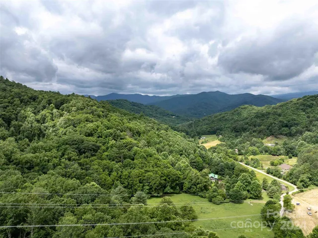 a view of a bunch of trees and bushes